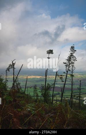 Simonside collines et rochers. Vues vers les Cheviots. Northumberland. Banque D'Images