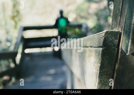 Randonneur défocalisé sur la forêt de plate-forme d'observation. Vue arrière de la personne regardant dans le feuillage luxuriant abstrait sur un escalier en bois ou sentier de randonnée de promenade en bois dans N Banque D'Images