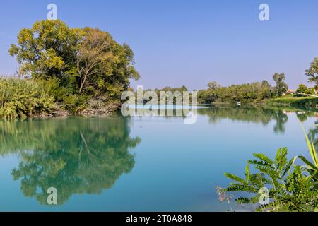 Plan nature de la rivière Tagliamento dans la région de Pertegada dans Frioul-Vénétie Julienne, Italie Banque D'Images