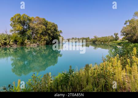 Plan nature de la rivière Tagliamento dans la région de Pertegada dans Frioul-Vénétie Julienne, Italie Banque D'Images