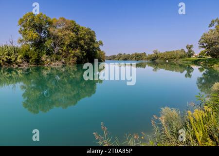 Plan nature de la rivière Tagliamento dans la région de Pertegada dans Frioul-Vénétie Julienne, Italie Banque D'Images