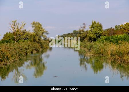 Plan nature de la rivière Tagliamento dans la région de Pertegada dans Frioul-Vénétie Julienne, Italie Banque D'Images