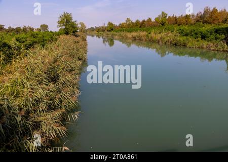 Plan nature de la rivière Tagliamento dans la région de Pertegada dans Frioul-Vénétie Julienne, Italie Banque D'Images