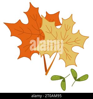 Feuilles d'érable colorées et graines ou hélicoptères, élément de conception d'automne, illustration vectorielle de style doodle Illustration de Vecteur
