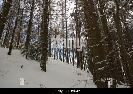 Paysage de neige en Écosse pendant l'hiver Banque D'Images
