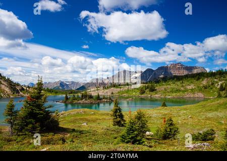 Sunshine Meadows, parc national Banff, Alberta Canada Banque D'Images