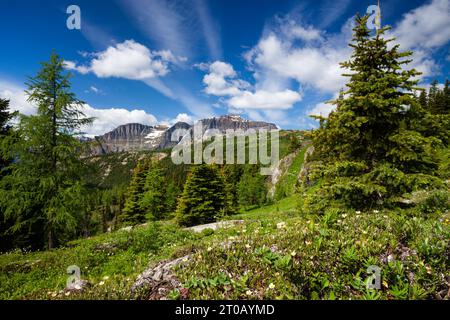 Sunshine Meadows, parc national Banff, Alberta Canada Banque D'Images