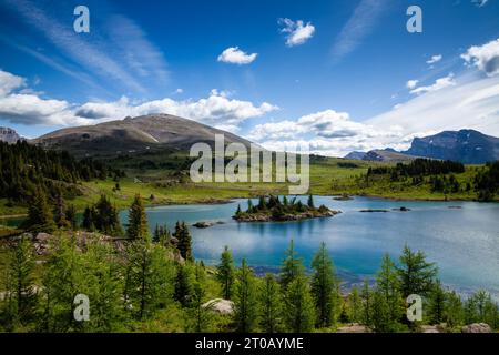 Sunshine Meadows, parc national Banff, Alberta Canada Banque D'Images