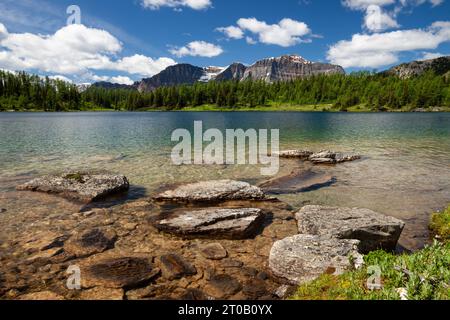 Sunshine Meadows, parc national Banff, Alberta Canada Banque D'Images