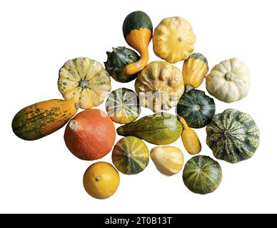 Quelques petites citrouilles sur un fond transparent Banque D'Images