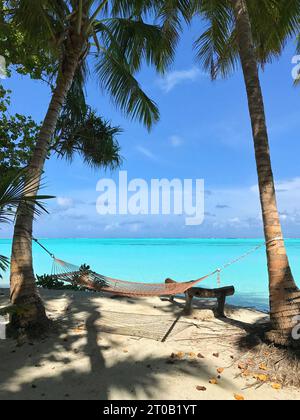 Une scène de plein air tranquille avec un hamac tendu entre deux arbres à l'ombre sur une plage de sable Banque D'Images