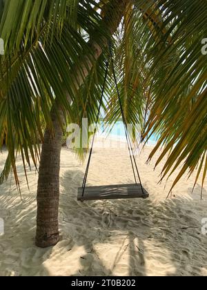 Un hamac coloré pend entre deux palmiers sur une plage tropicale de sable Banque D'Images