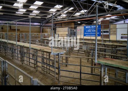 Vente aux enchères de bovins Shed Standerwick Frome Somerset Angleterre Royaume-Uni Banque D'Images