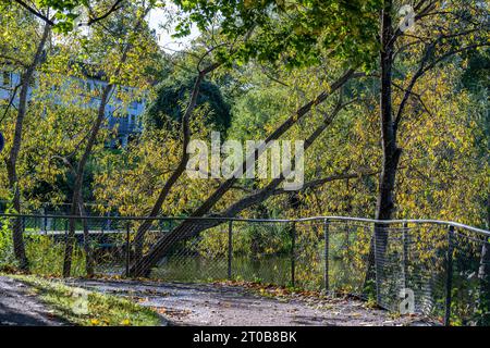 Parc riverain Åbackarna le long du ruisseau Motala au début de l'automne à Norrköping, Suède Banque D'Images