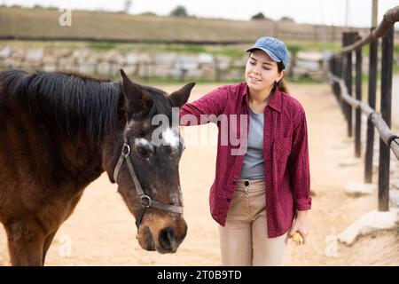 Femme prenant soin des chevaux Banque D'Images