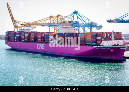 Containerschiff ONE Freedom Am Hafen von Barcelona XL-Containerschiff ONE Freedom BJ. 2022, 366 m zu Gast im Hafen von Barcelona. Mit seinen bis zu 15Ö242 Boxen an bord zu den grossen Containerschiffen. DAS Schiff gehoert zur Klasse der Ultra large Container Ships ULCS und ist in der Gruppe der weltweit groessten derzeit eingesetzten Containerschiffe angesiedelt. Barcelona Spanien *** porte-conteneurs ONE Freedom au port de Barcelone XL porte-conteneurs ONE Freedom BJ 2022, 366 m à l'invité au port de Barcelone avec ses boîtes jusqu'à 15Ö242 à bord des grands porte-conteneurs dont le navire fait partie Banque D'Images