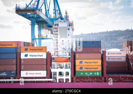 Containerschiff ONE Freedom Am Hafen von Barcelona XL-Containerschiff ONE Freedom BJ. 2022, 366 m zu Gast im Hafen von Barcelona. Mit seinen bis zu 15Ö242 Boxen an bord zu den grossen Containerschiffen. DAS Schiff gehoert zur Klasse der Ultra large Container Ships ULCS und ist in der Gruppe der weltweit groessten derzeit eingesetzten Containerschiffe angesiedelt. Barcelona Spanien *** porte-conteneurs ONE Freedom au port de Barcelone XL porte-conteneurs ONE Freedom BJ 2022, 366 m à l'invité au port de Barcelone avec ses boîtes jusqu'à 15Ö242 à bord des grands porte-conteneurs dont le navire fait partie Banque D'Images