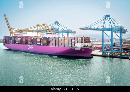 Containerschiff ONE Freedom Am Hafen von Barcelona XL-Containerschiff ONE Freedom BJ. 2022, 366 m zu Gast im Hafen von Barcelona. Mit seinen bis zu 15Ö242 Boxen an bord zu den grossen Containerschiffen. DAS Schiff gehoert zur Klasse der Ultra large Container Ships ULCS und ist in der Gruppe der weltweit groessten derzeit eingesetzten Containerschiffe angesiedelt. Barcelona Spanien *** porte-conteneurs ONE Freedom au port de Barcelone XL porte-conteneurs ONE Freedom BJ 2022, 366 m à l'invité au port de Barcelone avec ses boîtes jusqu'à 15Ö242 à bord des grands porte-conteneurs dont le navire fait partie Banque D'Images