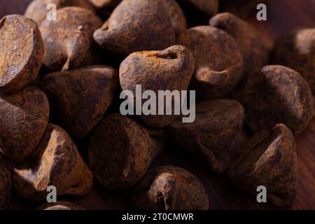 Vue rapprochée des truffes aux bonbons au chocolat Banque D'Images