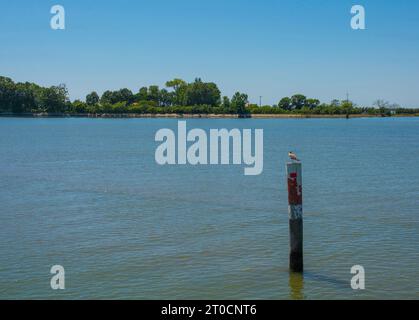 Un marqueur de canal montre le bord d'un canal navigable dans les eaux peu profondes de la section Grado de la lagune de Marano et Grado au Frioul, en Italie Banque D'Images