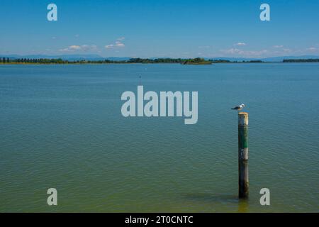 Un marqueur de canal montre le bord d'un canal navigable dans les eaux peu profondes de la section Grado de la lagune de Marano et Grado au Frioul, en Italie Banque D'Images