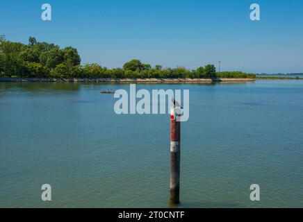 Un marqueur de canal montre le bord d'un canal navigable dans les eaux peu profondes de la section Grado de la lagune de Marano et Grado au Frioul, en Italie Banque D'Images