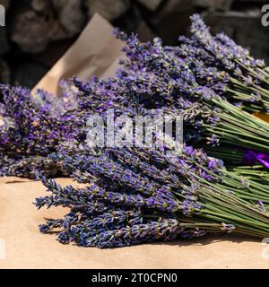 Les bouquets de lavande avec des rubans violets et jaunes reposent sur du papier Banque D'Images