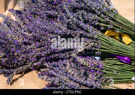 Les bouquets de lavande avec des rubans violets et jaunes reposent sur du papier Banque D'Images