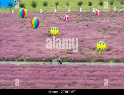 NANJING, CHINE - 6 OCTOBRE 2023 - les touristes visitent les fleurs roses à Nanjing, province du Jiangsu, Chine, le 6 octobre 2023. Banque D'Images