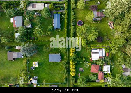 Jardin d'allotissement, jardin de cisaillement, photo drone, top-down, Rottweil, Baden-Wuerttemberg, Allemagne Banque D'Images