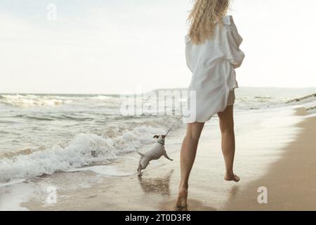 Chien à la plage, vue latérale du terrier courant dans la mer Banque D'Images