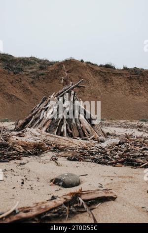 Bois flotté et bâtons installés sur la plage, prêts pour un feu de joie Banque D'Images