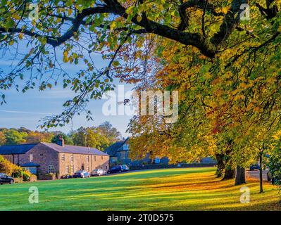 Bolton by Bowland, Ribble Valley, Forêt de Bowland, scène d'automne du Lancashire, arbres matures aux couleurs d'automne sur le plus grand des deux verts du village Banque D'Images