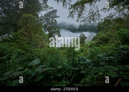 Bali Twin Lakes Viewpoint surplombe le lac Tamblingan et le lac Buyan à Munduk, Bali Indonésie. Banque D'Images