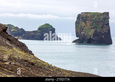 Vue sur les arches naturelles de la plage noire Reynisfjara dans le sud de l'Islande en été Banque D'Images