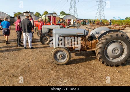 Tracteurs Massey Ferguson d'époque à la vente aux enchères de matériel agricole d'époque, Campsea Ashe, Suffolk, Angleterre, Royaume-Uni Banque D'Images