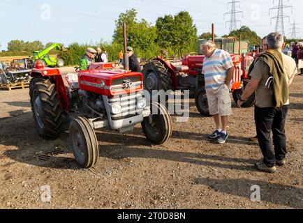 Tracteurs Massey Ferguson d'époque à la vente aux enchères de matériel agricole d'époque, Campsea Ashe, Suffolk, Angleterre, Royaume-Uni Banque D'Images