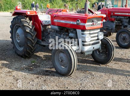 Tracteur Massey Ferguson 135 à la vente aux enchères de matériel agricole vintage, Campsea Ashe, Suffolk, Angleterre, Royaume-Uni Banque D'Images