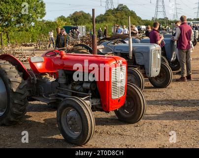 Tracteurs Massey Ferguson d'époque à la vente aux enchères de matériel agricole d'époque, Campsea Ashe, Suffolk, Angleterre, Royaume-Uni Banque D'Images