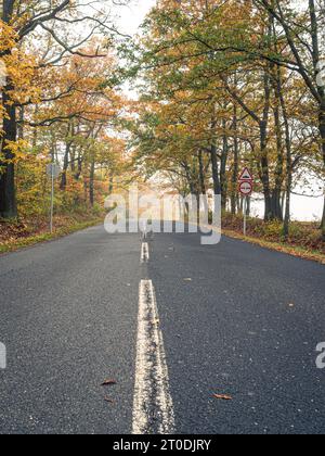 Route asphaltée rurale droite vide au cours de l'automne avec des arbres jaunes orangés colorés et des panneaux routiers d'atmosphère brumeuse le matin en Hongrie Banque D'Images