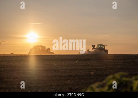 Semis de graines méchinisées au coucher du soleil, dans une ferme du kent octobre 2023. Cette récolte sera récoltée à la fin de l'été 2024 Banque D'Images