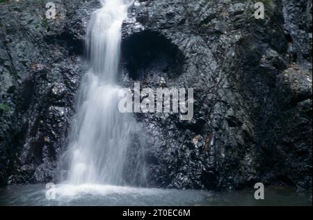 Gros plan Argyll Falls Tobago Rainforest Banque D'Images