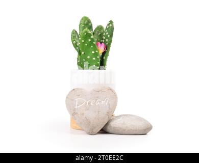 Pierre de rêve devant un faux cactus dans un vase. Roche en forme de coeur avec rêve de mot sculpté. Message inspirant, oser rêver ou concept de style de vie zen. Banque D'Images
