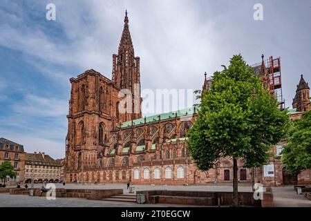 Place du Château et Cathédrale de Stra0burg, Strasbourg, Alsace, Bas-Rhin, Grand est, Alsace-Champagne-Ardenne-Lorraine, France Banque D'Images