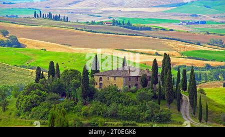 Podere Belvedere, ferme typique près de San Quirico d'Orcia, San Quirico d'Orcia, Vallée d'Orcia, Val d'Orcia, province de Sienne, Toscane, Toscane, Italie, Italie Banque D'Images