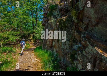 Randonneur sur le sentier de randonnée Saarschleife-Tafeltour, Traumschleifen Saar-Hunsrück, Mettlach, Saar, Saartal, parc naturel de Saar-Hunsrück, Sarre, Allemagne Banque D'Images