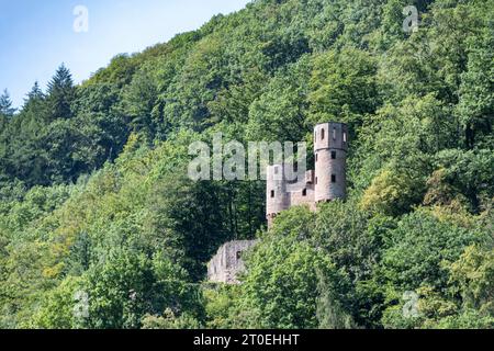 Neckarsteinach, Hesse, quartier de Bergstrasse, Allemagne, vue sur les ruines du château de Schadeck, également appelé Nid d'Swallow. Banque D'Images