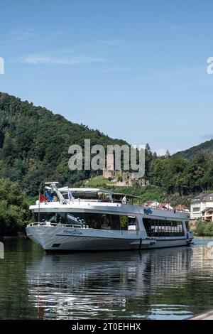 Neckarsteinach, Hesse, quartier Bergstrasse, Allemagne, vue sur la rivière Neckar avec la ruine du château Schadeck, également appelé Nid d'Swallow. Banque D'Images