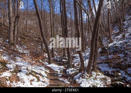 Sentier de randonnée dans la vallée de Bode en hiver, Thale, Harz, Saxe-Anhalt, Allemagne Banque D'Images