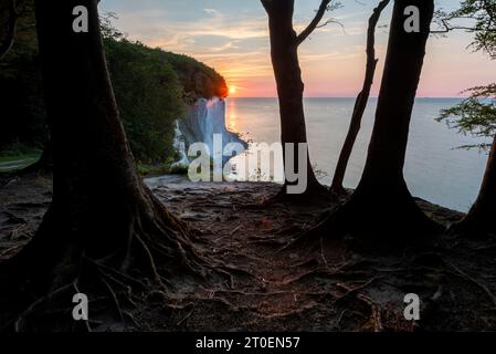 Wissower Klinken, falaises de craie, lever de soleil, île de Rügen, Sassnitz, Mecklenburg-Vorpommern, Allemagne Banque D'Images